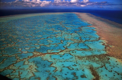 wistari lagoon barrier reef australia